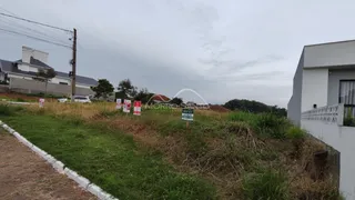 Terreno, foto 3