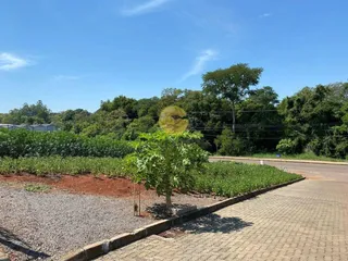 Terreno, foto 4