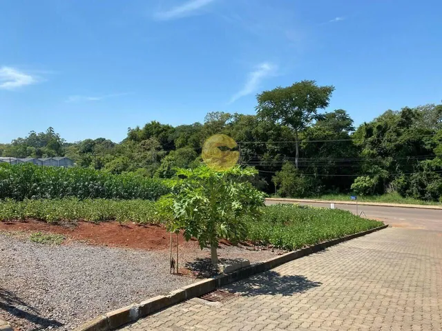 Terreno, foto 4