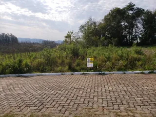 Vista externa de um terreno com vegetação densa e pavimento de tijolos.