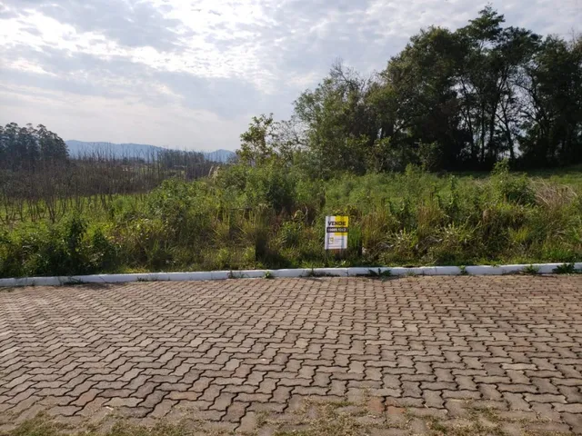 Vista externa de um terreno com vegetação densa e pavimento de tijolos.