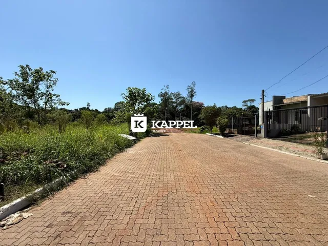 Foto da entrada de uma propriedade em Lajeado, mostrando uma estrada de paralelepípedos e vegetação ao lado.