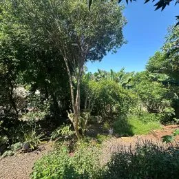 Terreno com 3 dormitórios, foto 32