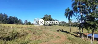 Paisagem de campo aberto com vegetação seca e um corpo d'água ao fundo.