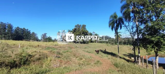 Paisagem de campo aberto com vegetação seca e um corpo d'água ao fundo.