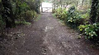 Caminho de terra que leva a uma entrada arborizada em Lajeado, Brasil.