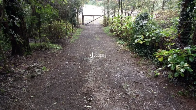 Caminho de terra que leva a uma entrada arborizada em Lajeado, Brasil.