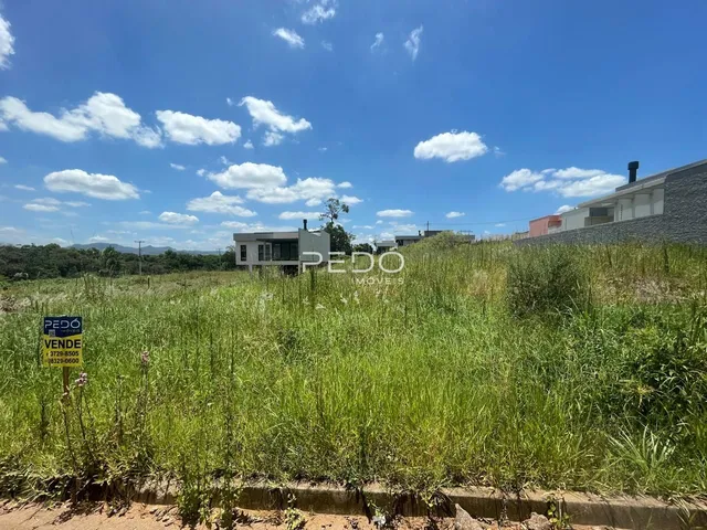 Terreno, foto 2