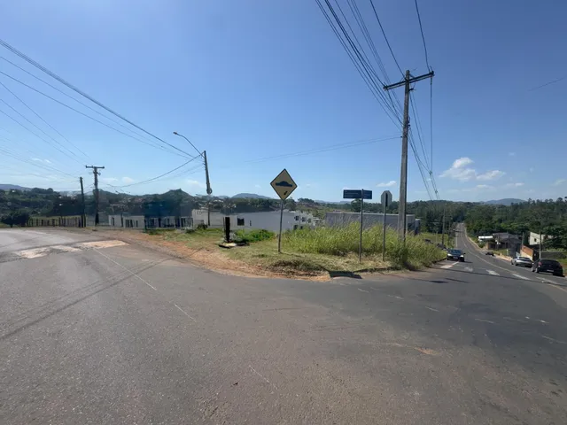 Vista da estrada com postes de energia e vegetação ao fundo.
