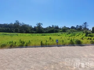 Terreno, foto 1
