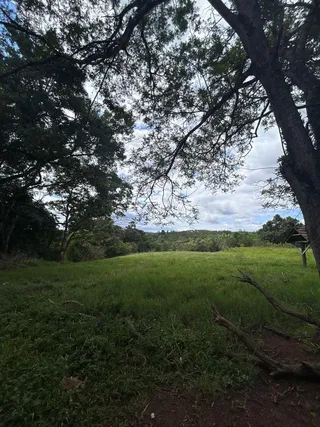 Área rural com 4 dormitórios, foto 2