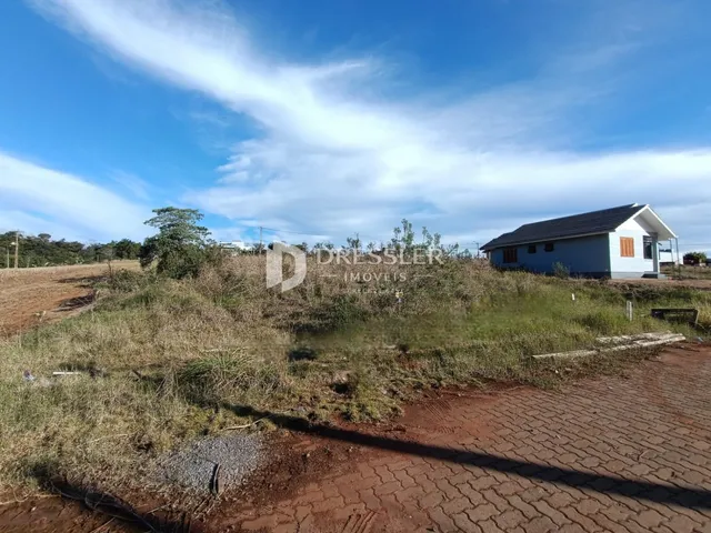 Vista externa de um terreno com vegetação seca e uma casa ao fundo.