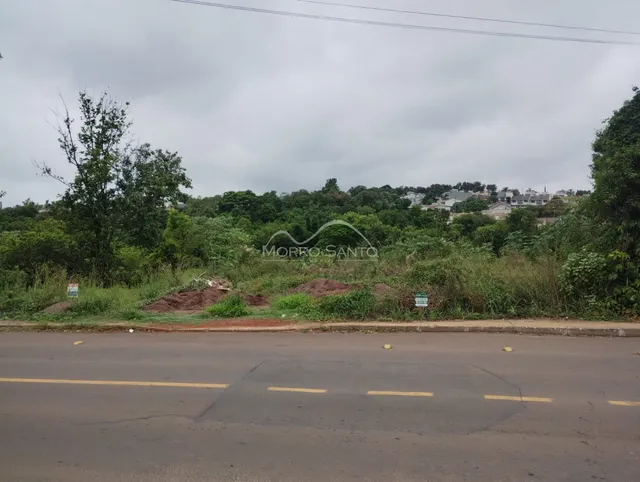 Terreno
