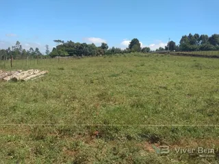 Área rural com 4 dormitórios, foto 14