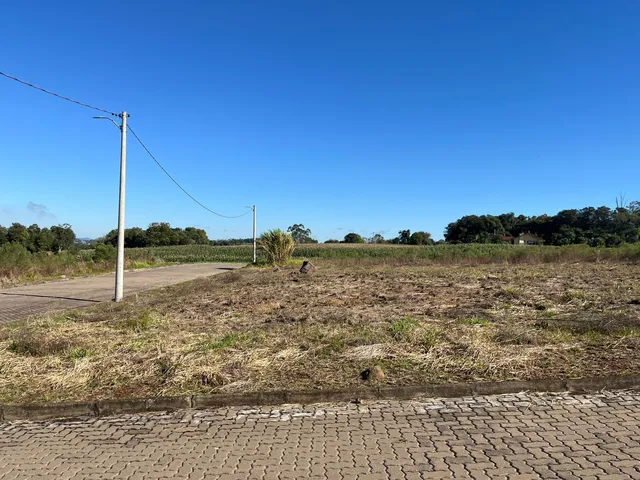 Vista de um campo seco com vegetação rasteira sob um céu azul claro.