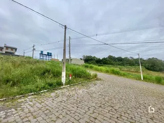 Vista da paisagem com vegetação e postes de energia ao longo de uma estrada pavimentada.