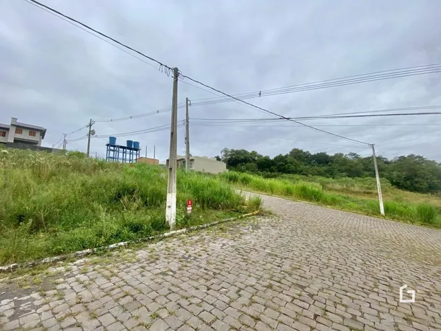 Vista da paisagem com vegetação e postes de energia ao longo de uma estrada pavimentada.