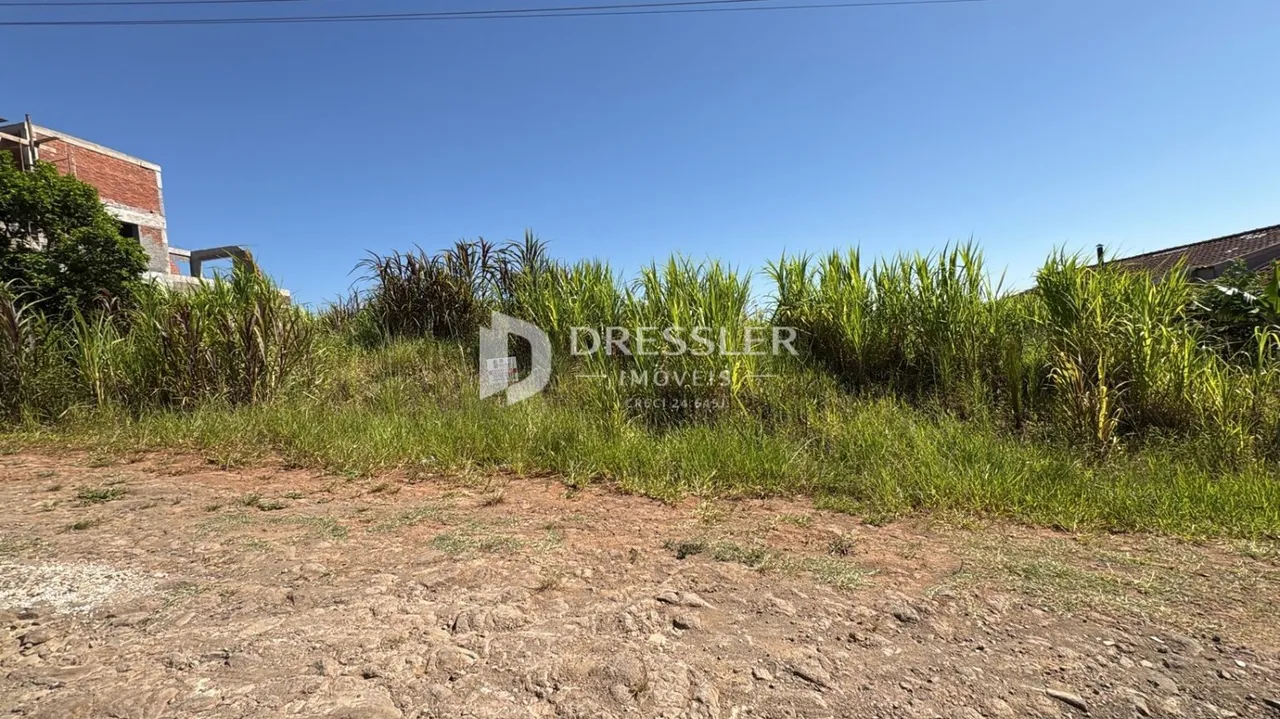Vista da terra com vegetação alta e solo seco na frente de estruturas.