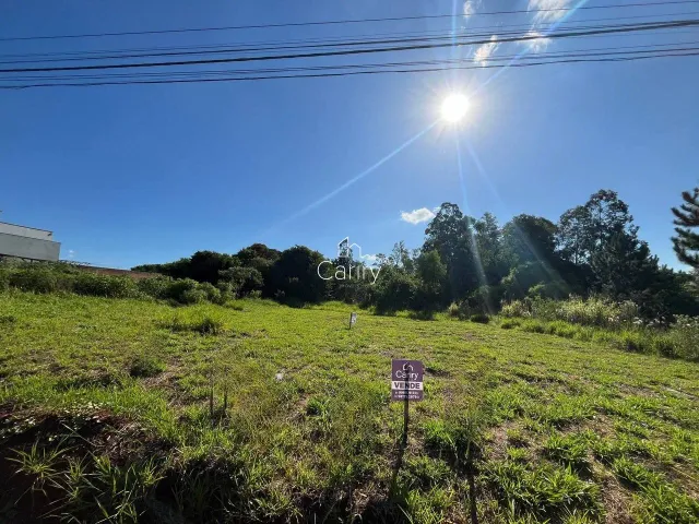 Terreno, foto 2