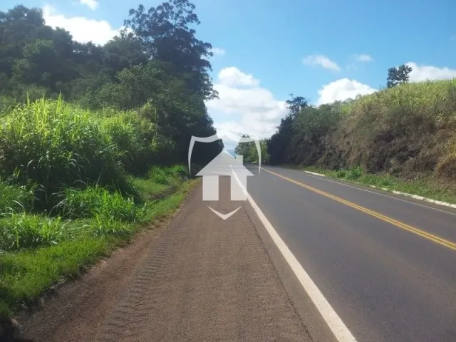 Uma estrada rural com vegetação densa nas laterais.