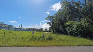 Terreno, foto 1