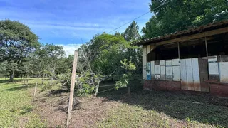 Área rural com 3 dormitórios, foto 4