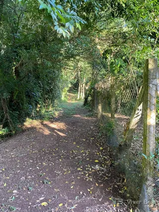 Área rural com 2 dormitórios, foto 17