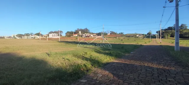Vista de um campo aberto com vegetação rasteira e um caminho de terra em uma propriedade em Lajeado.