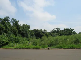 Paisagem de vegetação verde ao longo de uma estrada.