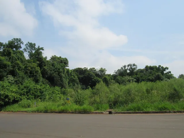 Paisagem de vegetação verde ao longo de uma estrada.