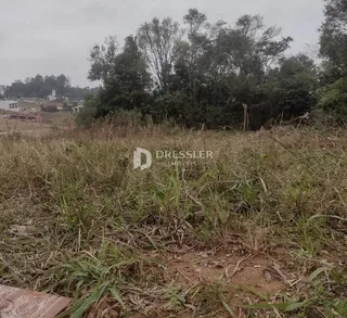 Terreno, foto 2