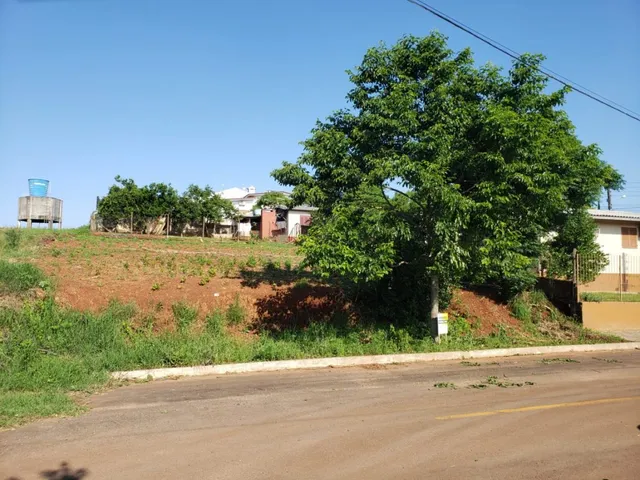 Terreno