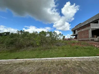Vista externa de uma área gramada com vegetação e uma estrada no primeiro plano.