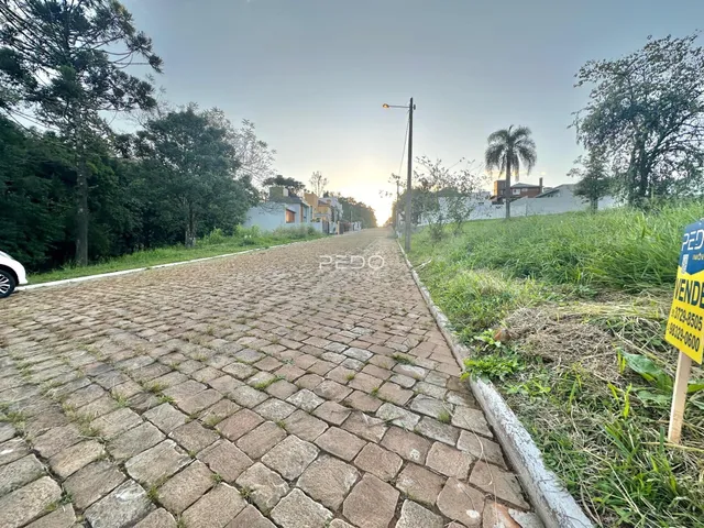 Vista de uma rua pavimentada com vegetação ao lado em Lajeado, Brasil.