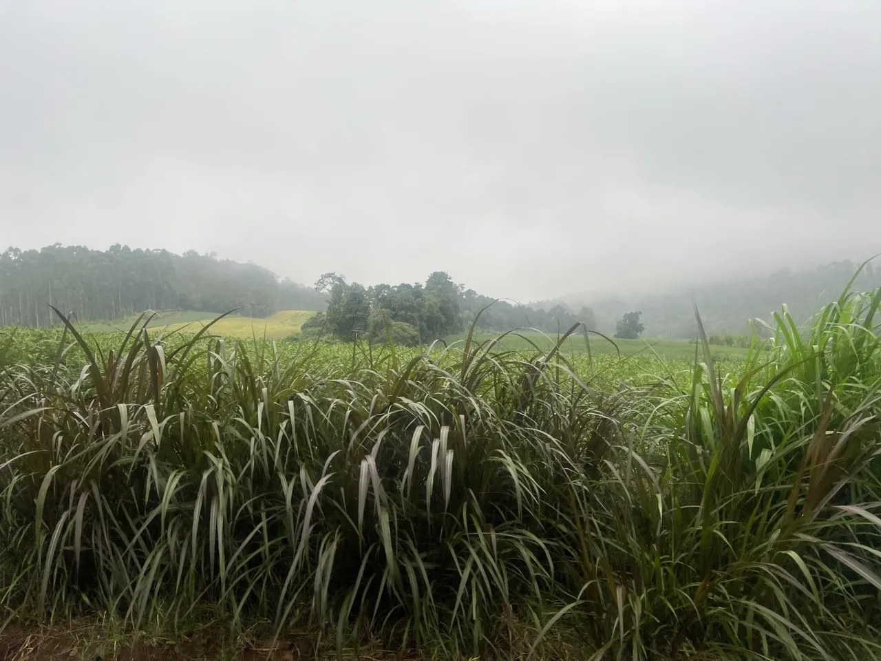 Imóvel, foto 1