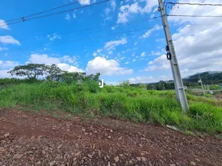 Paisagem de vegetação verde com terra no primeiro plano.