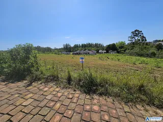 Terreno, foto 4