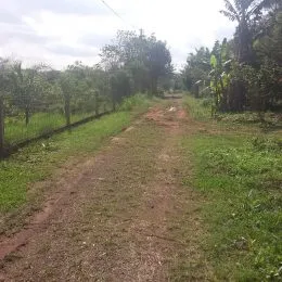 Área rural, foto 4