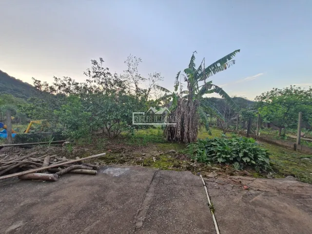 Casa com 2 dormitórios, foto 5