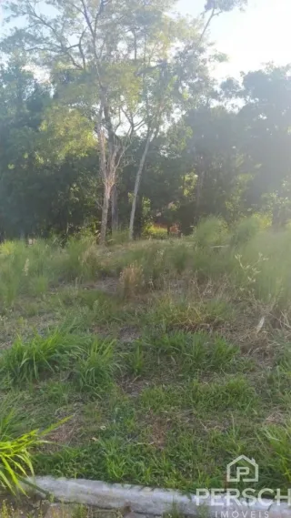Terreno, foto 3