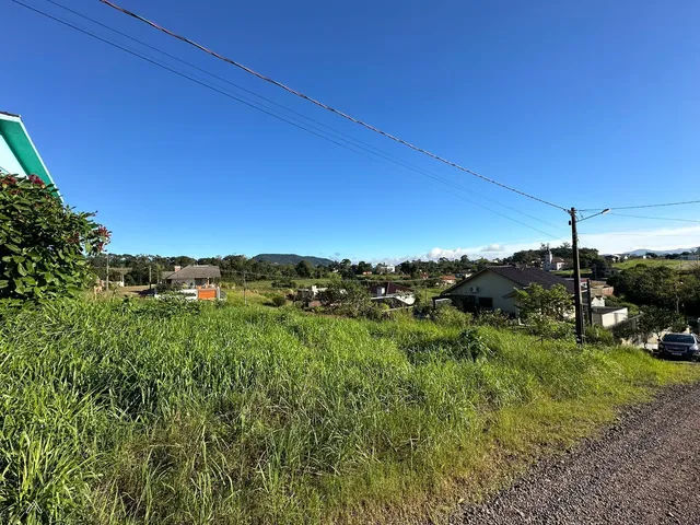 Terreno