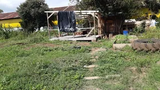 Área rural com 3 dormitórios, foto 10