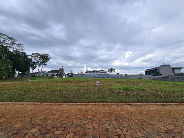 Paisagem de campo com árvores ao fundo.
