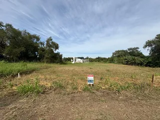 Campo aberto com vegetação e árvores ao fundo.