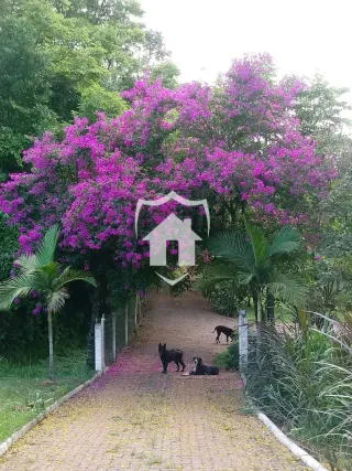 Área rural com 3 dormitórios, foto 27