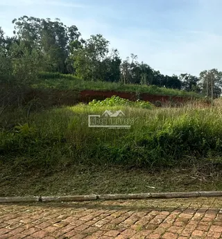 Terreno, foto 6