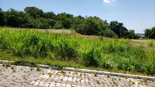 Terreno, foto 1