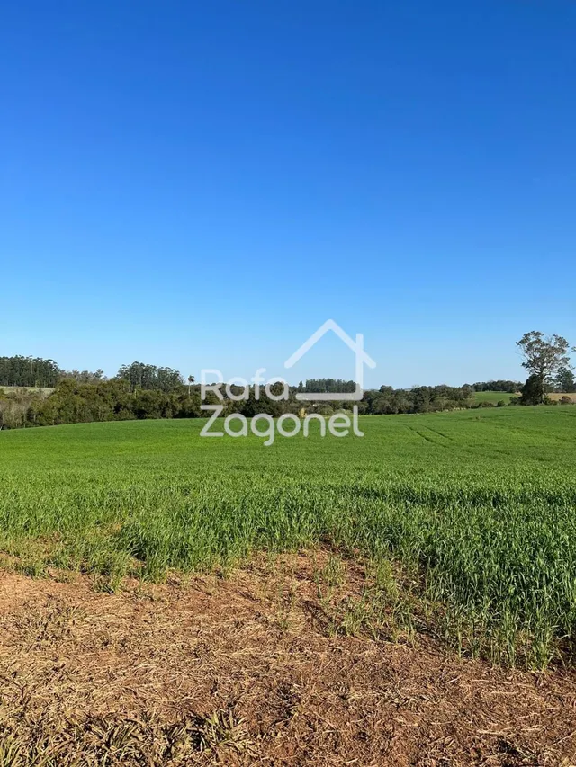 Área rural, foto 2