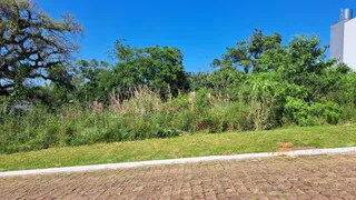 Terreno, foto 1