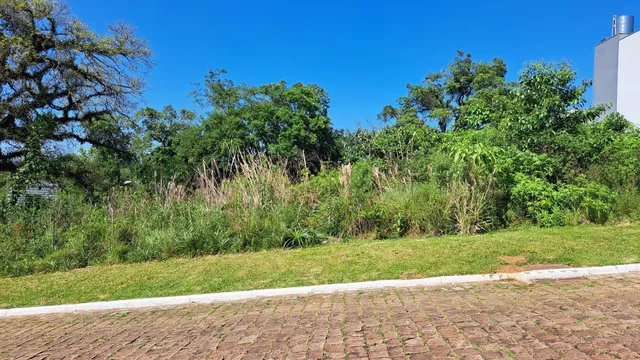 Terreno